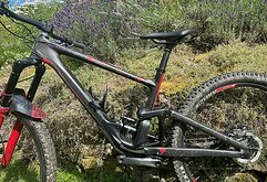 Specialized Enduro Carbon Rahmenkit S4 - 29"