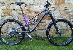 Canyon Torque CF(Carbon) 8.0 (XL)