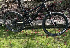 Last Bikes Coal (V02) Custom Gr. L