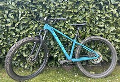 Trek Roscoe