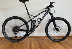 Votec VX ELITE 29“ (XL)