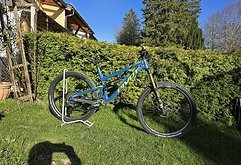 Pivot Cycles Firebird 29