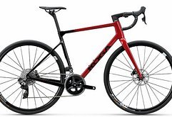 Koga Roqa Premium - Sonderpreis