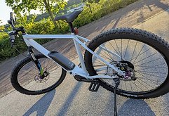 Bulls LT Performance E-Bike 29" 54cm Neuwertig