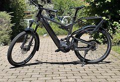 Riese & Müller Delite eMTB Fully GT Rohloff Bosch CX Fox Navi RX