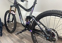 Giant Reign Custom