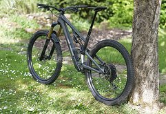 Specialized Stumpjumper Evo full 29" viele Carbonteile und Trickstuff