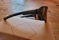 Alpina Sportbrille
