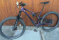 Specialized Specialized Enduro S-Works 29" Gr. L 2019 Custom