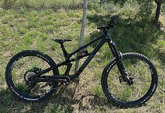 Canyon Torque CF 8 2024