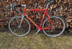 Rennrad Diana Viva Alu "Extra" – Shimano Ultegra – 28"