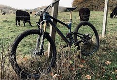 Radon Bikes Slide Trail 10.0 2021 Carbon Gr. M / 18"