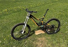 Specialized 2010 Specialized Demo 8 I Größe L  Custom Umbau