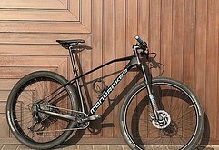 Mondraker Chrono Carbon 29“ L