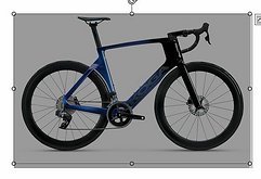 Koga Kinsei Premium- Sonderpreis