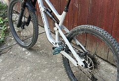 Canyon Torque Mullet AL 5