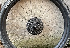 Roval Specialized Roval Traverse SL Carbon 29 x 30 XD Laufrad 148 x 12