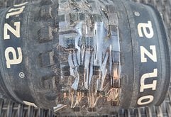 Onza Porcupine 29 2.4"