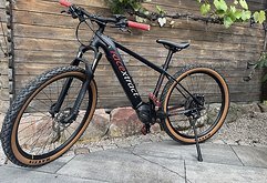 Race E-Mountainbike