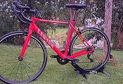 Canyon Endurace CF - Größe M