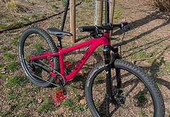 Vpace Max24 Crazy Pink Hardtail (Matz)