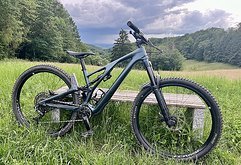 Specialized STUMPJUMPER EVO EXPERT - 29" Carbon Mountainbike -