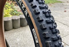 Onza Reifen Ibex 27,5 x 2,40 TRC 60 TPI | Soft Compound 50 | Tubeless