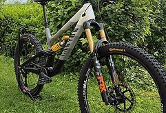 Canyon Torque CLLCTV XL Mullet Custom
