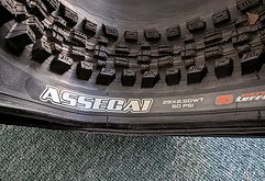 Maxxis ASSEGAI  29 x 2.5"  3C MaxxTerra  EXO+ neu