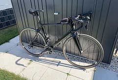 STORCK Fascenario F3 Comp Größe L