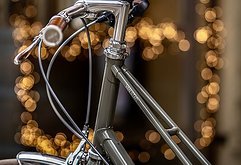 Gazelle Van Stael V7 Trapez 2024