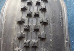 Maxxis Reifen WetScream 29x2.50 3C maxxgrip TR DH