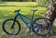 Alutech Cheaptrick Harttail Enduro 29"