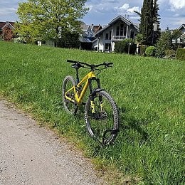 Foto des angebotenen Artikels