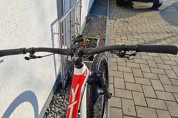 Artikelbild