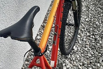 Artikelbild