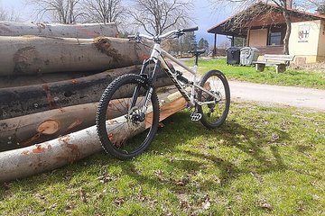 Artikelbild