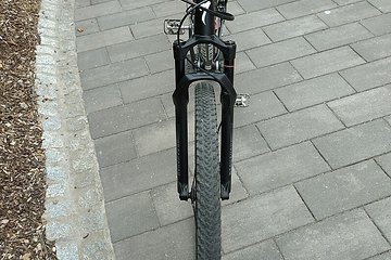 Artikelbild