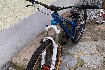 Artikelbild