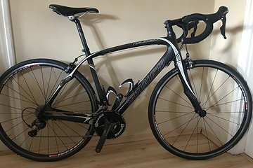 Specialized roubaix on sale pro 2010