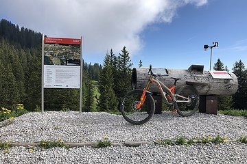 Artikelbild