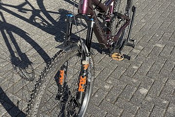 Artikelbild