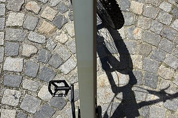 Artikelbild