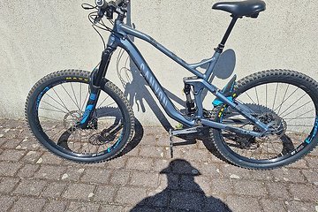 Artikelbild